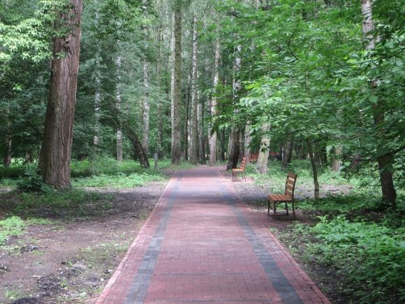 Як виглядає нова пішохідна доріжка, яка з'єднала парк Чекмана та Олімпійську (ФОТО), фото №4 на сайті vsim.ua