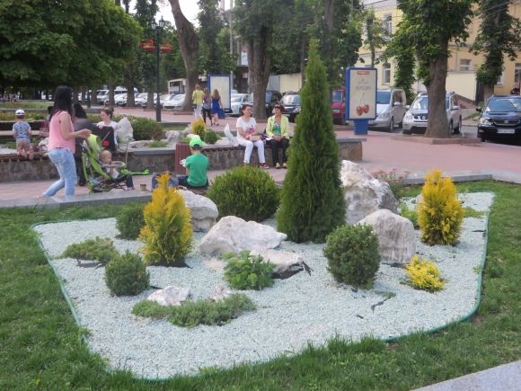 Квіти на дереві: біля кінотеатру Шевченка облаштували нову клумбу, фото №3 на сайті vsim.ua