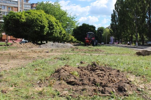 На проспекті Космонавтів викорчовують клени. Що посадять замість них? на сайті 20minut.ua На проспекті Космонавтів викорчовують клени. Що посадять замість них?, фото №2 на сайті 20minut.ua