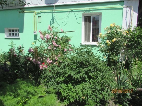 В Козятині нарешті справжнє літо! на сайті 20minut.ua В Козятині нарешті справжнє літо!, фото №6 на сайті 20minut.ua