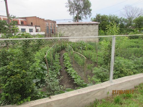 В Козятині живуть справжні патріоти, фото №1 на сайті 20minut.ua