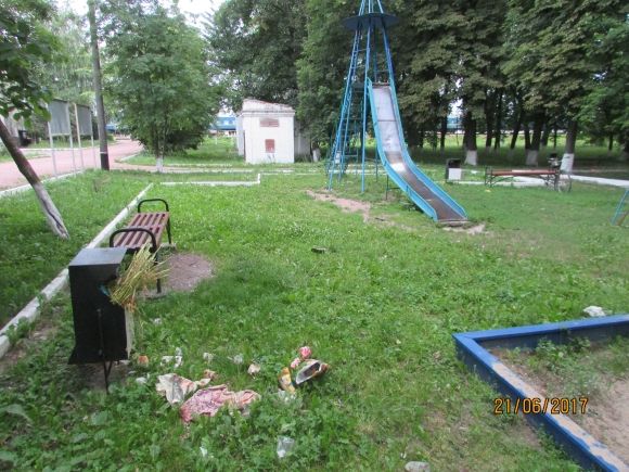 В Козятині живуть справжні патріоти, фото №12 на сайті 20minut.ua