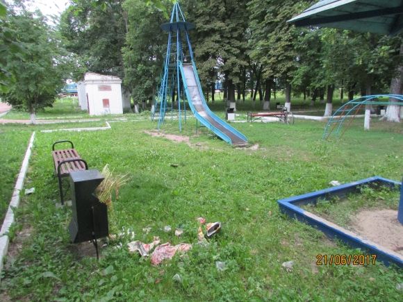 В Козятині живуть справжні патріоти, фото №11 на сайті 20minut.ua