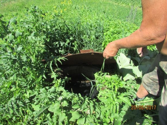 Залізничне заливає лайном, фото №1 на сайті 20minut.ua