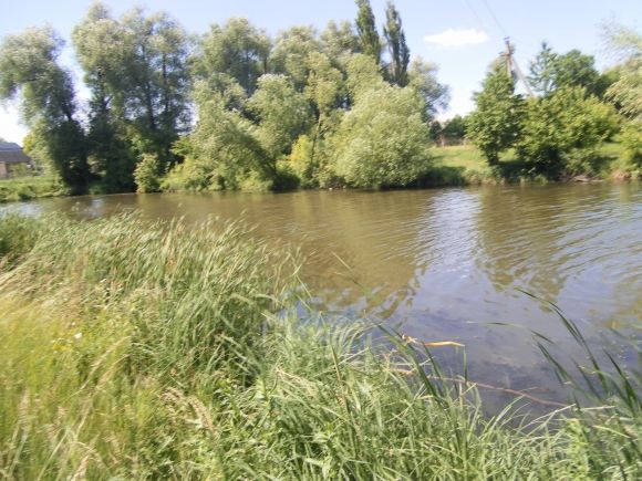 Позитиви в світлинах Богдана Кубашевського, фото №5 на сайті 20minut.ua