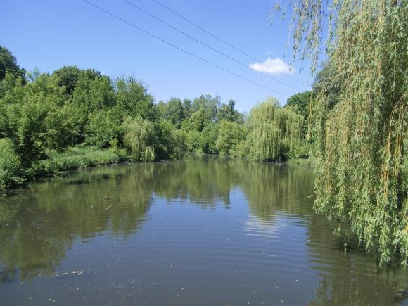 Позитиви в світлинах Богдана Кубашевського, фото №6 на сайті 20minut.ua