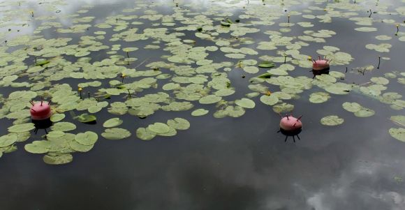 Як гриль-паб «Вінницька реберня» через півтора місяці після відкриття приймав «Ревізора» (Новини компаній), фото №21 на сайті 20minut.ua