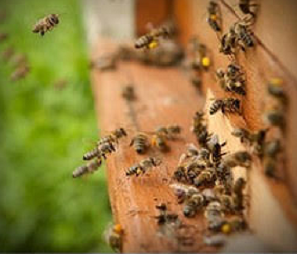 Позитиви в світлинах Богдана Кубашевського, фото №2 на сайті 20minut.ua