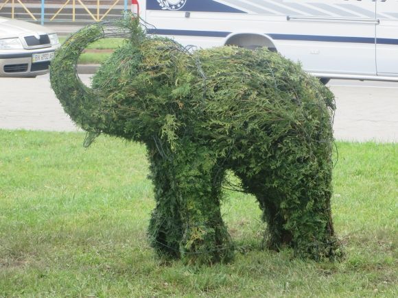 Слони та дельфіни: у Хмельницькому з’явилися зелені фігури за 150 тисяч на сайті vsim.ua Слони та дельфіни: у Хмельницькому з’явилися зелені фігури за 150 тисяч, фото №1 на сайті vsim.ua
