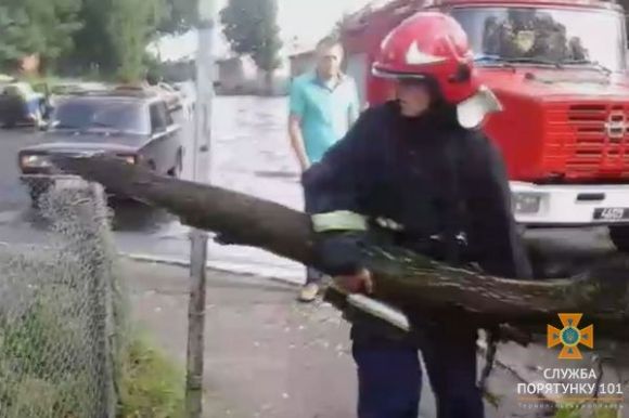 У Тернополі негода наробила біди: дерева попадали на автомобілі, фото №1 на сайті 20minut.ua