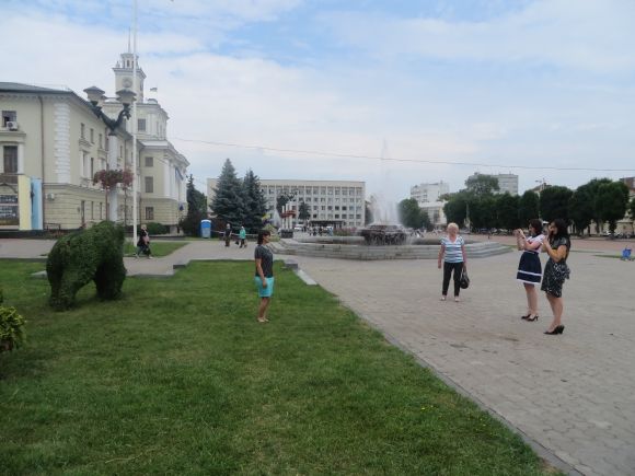 Слони та дельфіни: у Хмельницькому з’явилися зелені фігури за 150 тисяч на сайті vsim.ua Слони та дельфіни: у Хмельницькому з’явилися зелені фігури за 150 тисяч, фото №6 на сайті vsim.ua