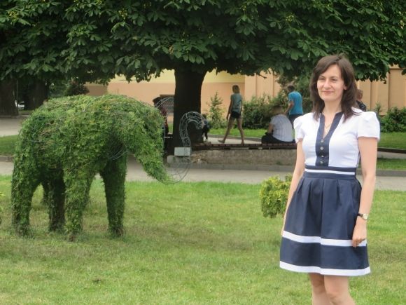 Слони та дельфіни: у Хмельницькому з’явилися зелені фігури за 150 тисяч на сайті vsim.ua Слони та дельфіни: у Хмельницькому з’явилися зелені фігури за 150 тисяч, фото №5 на сайті vsim.ua