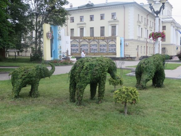 Слони та дельфіни: у Хмельницькому з’явилися зелені фігури за 150 тисяч на сайті vsim.ua Слони та дельфіни: у Хмельницькому з’явилися зелені фігури за 150 тисяч, фото №3 на сайті vsim.ua