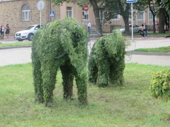 Слони та дельфіни: у Хмельницькому з’явилися зелені фігури за 150 тисяч на сайті vsim.ua Слони та дельфіни: у Хмельницькому з’явилися зелені фігури за 150 тисяч, фото №2 на сайті vsim.ua