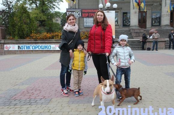 Декілька десятків тернополян вийшли на марш за права тварин на сайті 20minut.ua Декілька десятків тернополян вийшли на марш за права тварин, фото №2 на сайті 20minut.ua