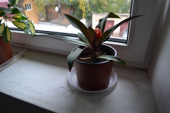 За спонсорські мільйони хмельницьким поліцейським зробили ремонт на сайті vsim.ua За спонсорські мільйони хмельницьким поліцейським зробили ремонт, фото №8 на сайті vsim.ua