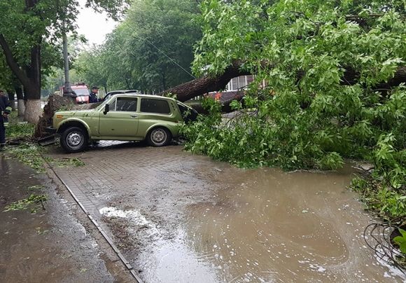Нічний буревій на Вінниччині: дерева валились прямо на автівки (ФОТО), фото №2 на сайті 20minut.ua