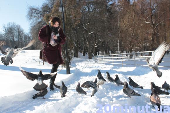 Чого не можна класти у годівничку для птахів? Поради орнітолога, фото №2 на сайті 20minut.ua
