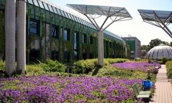 Путівник Варшавою: 10 місць, де можна бюджетно провести час, фото №11 на сайті 20minut.ua