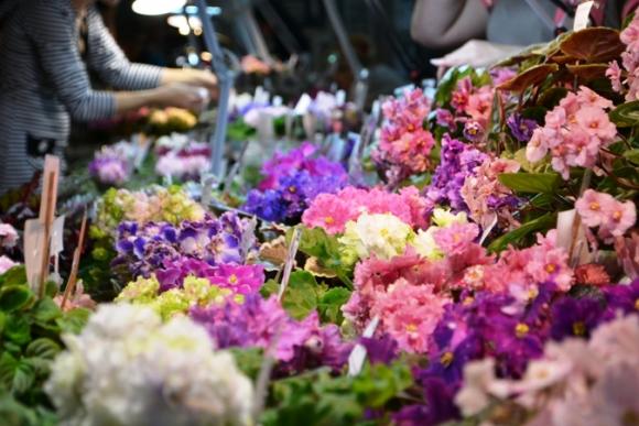 Як привітати коханих жінок, мам, бабусь, та  донечок на 8 Березня у Вінниці?, фото №3 на сайті 20minut.ua