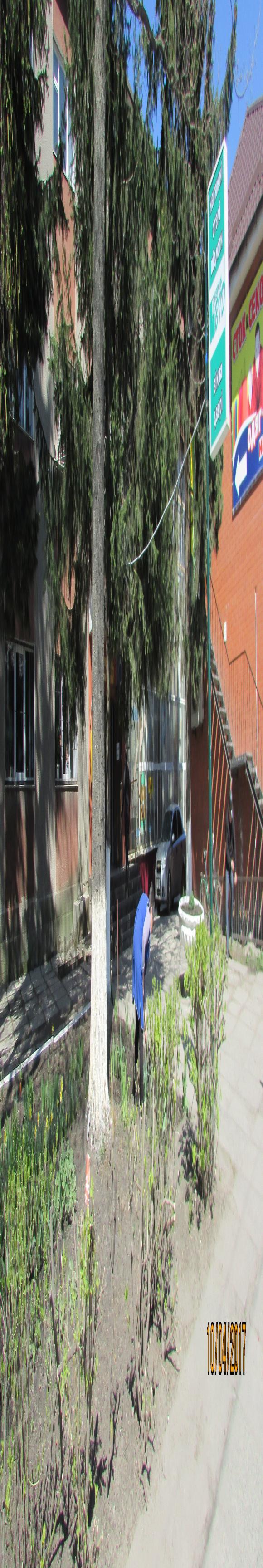 Козятин все гарнішає, фото №1 на сайті 20minut.ua