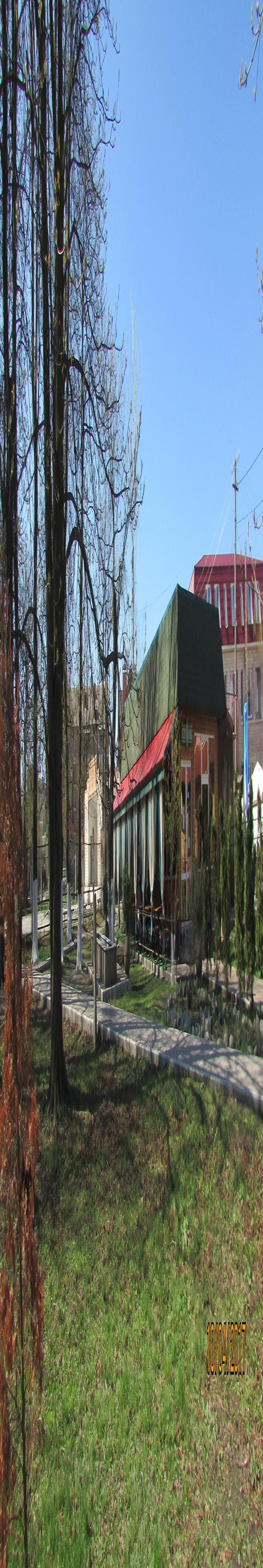 Козятин все гарнішає, фото №4 на сайті 20minut.ua