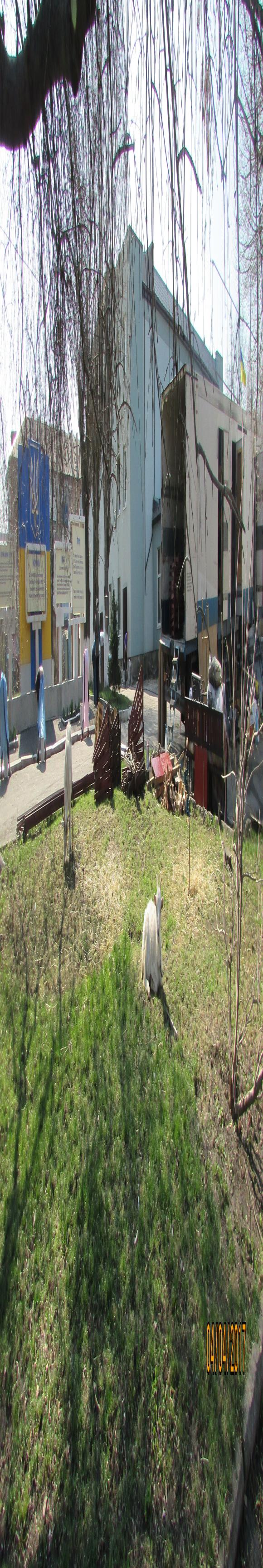 Бродячі артисти-тварини стали нашими гостями на сайті 20minut.ua Бродячі артисти-тварини стали нашими гостями, фото №4 на сайті 20minut.ua