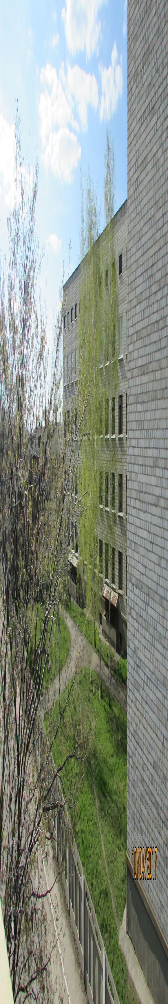 Козятин все гарнішає, фото №7 на сайті 20minut.ua