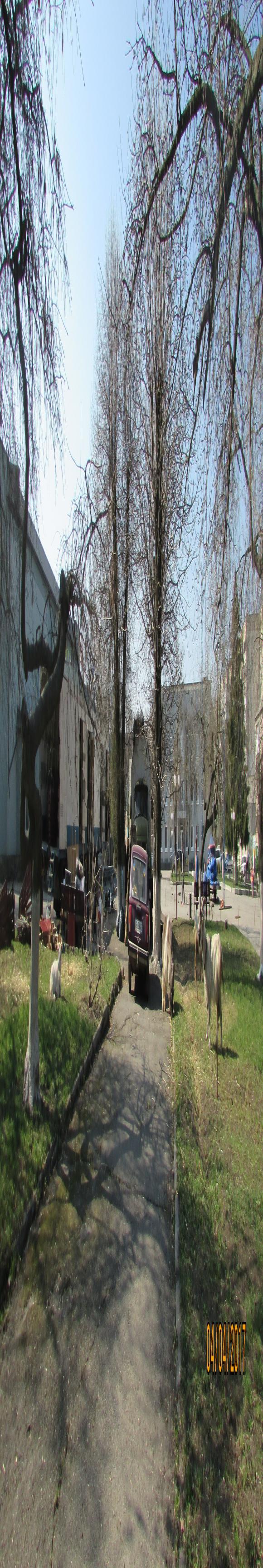 Бродячі артисти-тварини стали нашими гостями на сайті 20minut.ua Бродячі артисти-тварини стали нашими гостями, фото №3 на сайті 20minut.ua