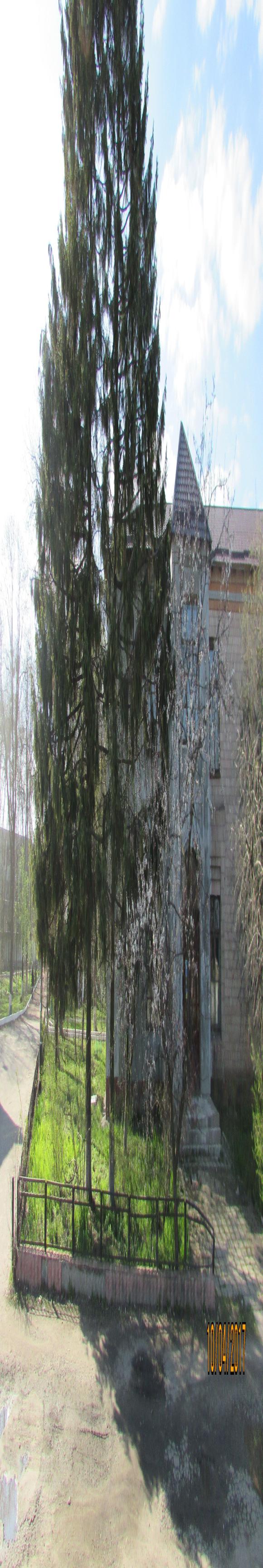 Козятин все гарнішає, фото №6 на сайті 20minut.ua