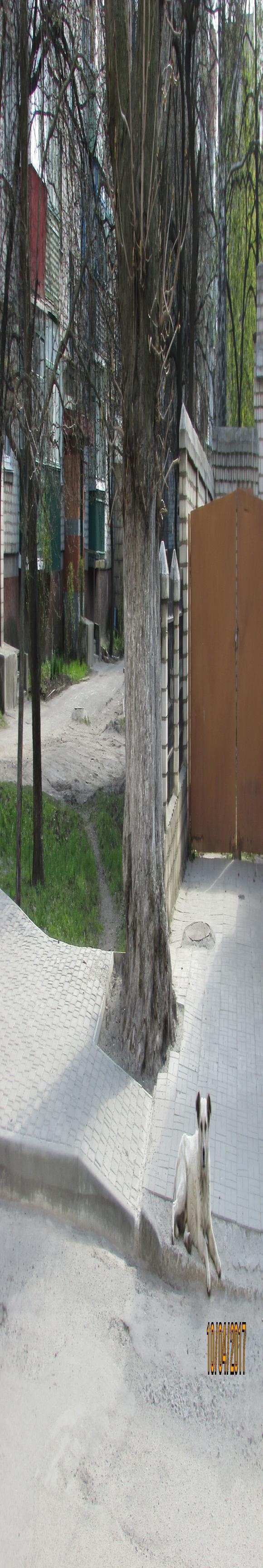 Козятин все гарнішає, фото №17 на сайті 20minut.ua