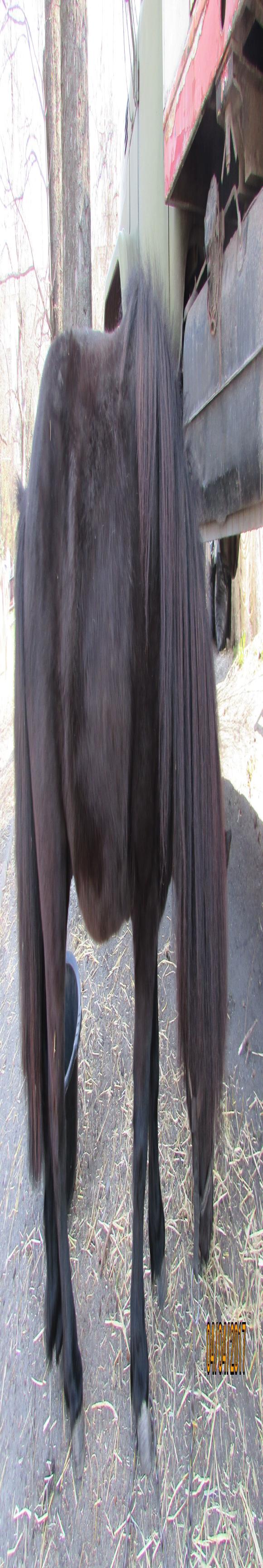 Цирк поїхав… клоуни залишилися, фото №3 на сайті 20minut.ua