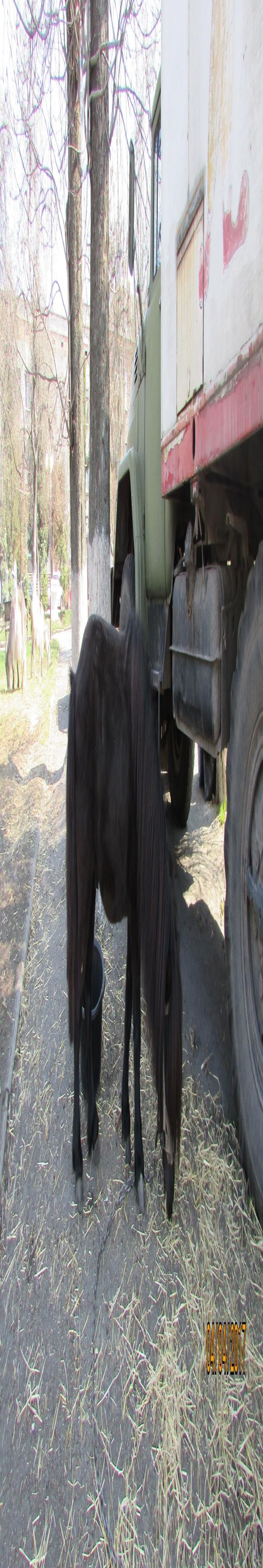 Цирк поїхав… клоуни залишилися, фото №2 на сайті 20minut.ua