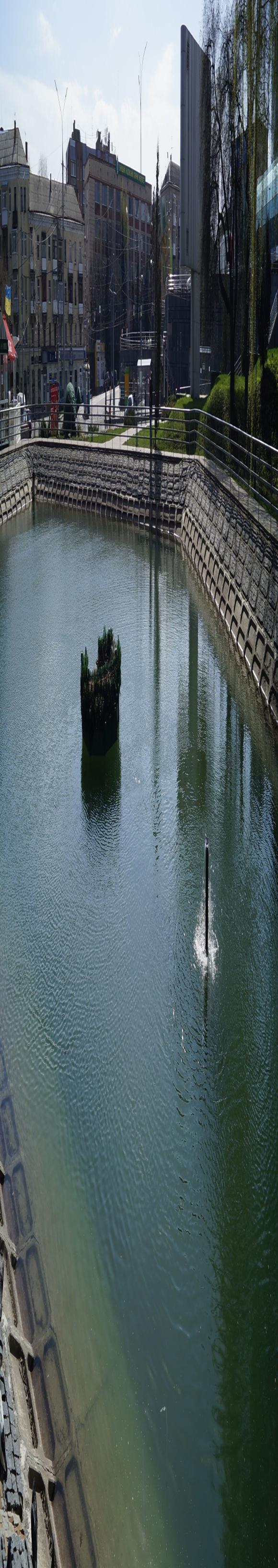 Руслану підрізали крила. Як готували лебедів, щоб випустити в паркове озеро на сайті 20minut.ua Руслану підрізали крила. Як готували лебедів, щоб випустити в паркове озеро, фото №1 на сайті 20minut.ua