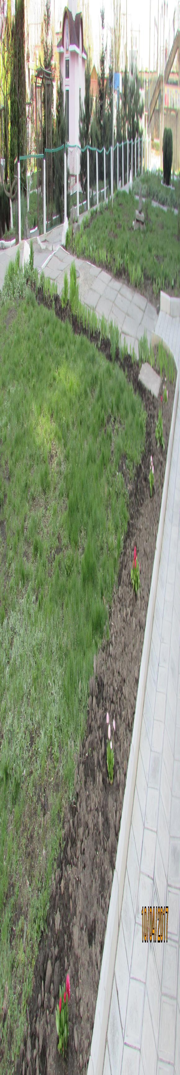 Козятин все гарнішає, фото №9 на сайті 20minut.ua