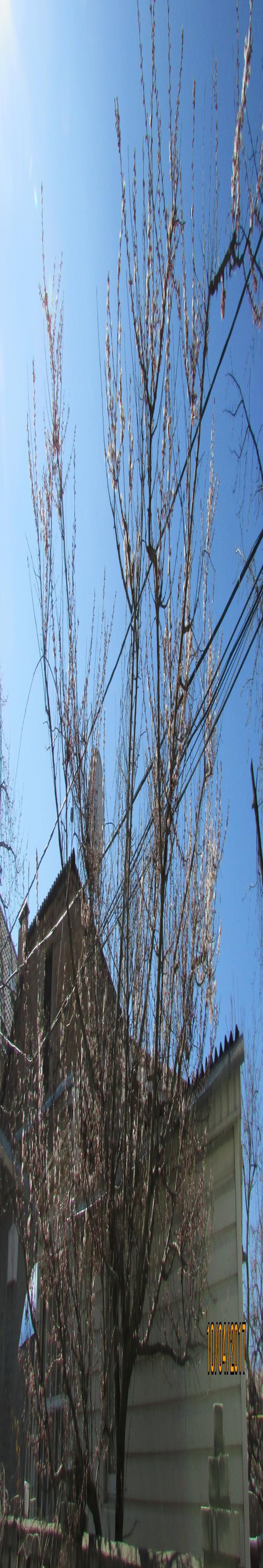 Козятин все гарнішає, фото №2 на сайті 20minut.ua