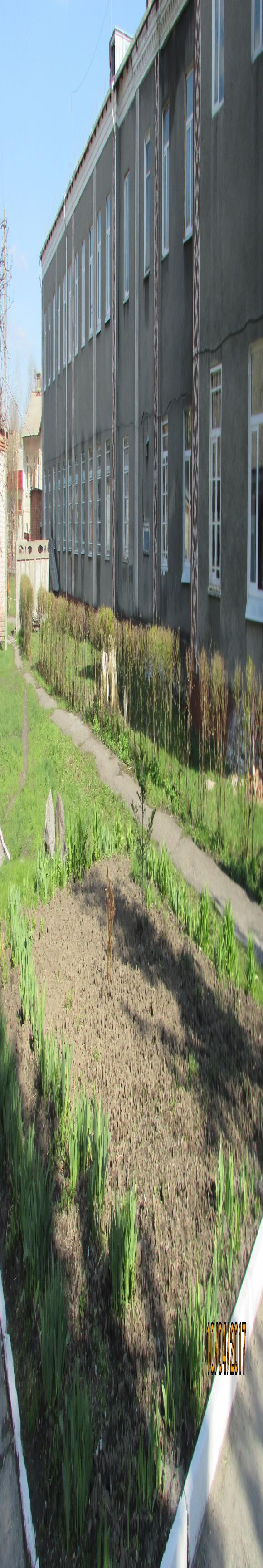 Козятин все гарнішає, фото №11 на сайті 20minut.ua