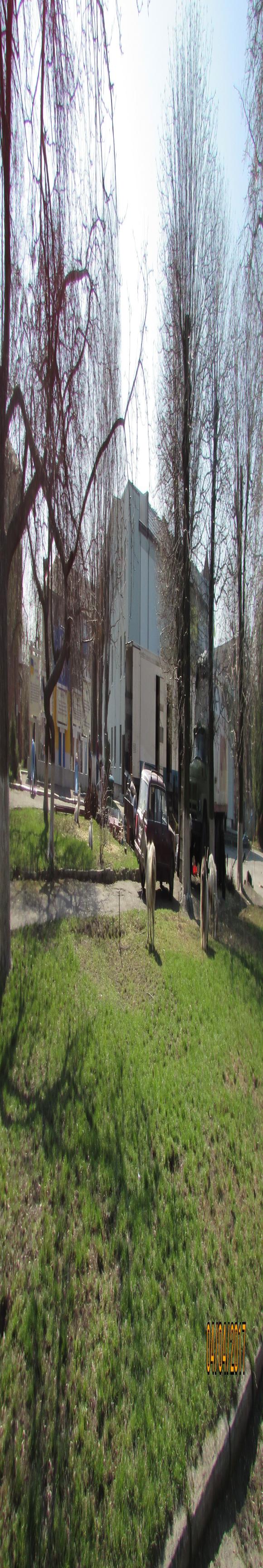 Бродячі артисти-тварини стали нашими гостями на сайті 20minut.ua Бродячі артисти-тварини стали нашими гостями, фото №2 на сайті 20minut.ua