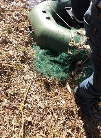 За вилов риби під час нересту вінничани-порушники заплатять від 34 до 850 гривень штрафу на сайті 20minut.ua За вилов риби під час нересту вінничани-порушники заплатять від 34 до 850 гривень штрафу, фото №2 на сайті 20minut.ua