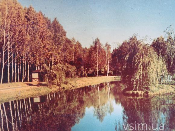 Як будували парк Чекмана 60 років тому (ФОТО), фото №10 на сайті vsim.ua