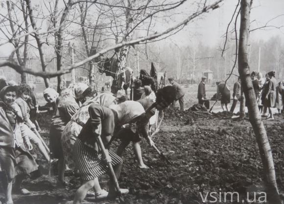 Як будували парк Чекмана 60 років тому (ФОТО), фото №7 на сайті vsim.ua