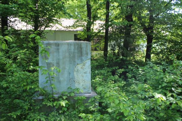 Наш «Артек» або садиби багатіїв — що буде на Старому місті замість санаторію?, фото №2 на сайті 20minut.ua