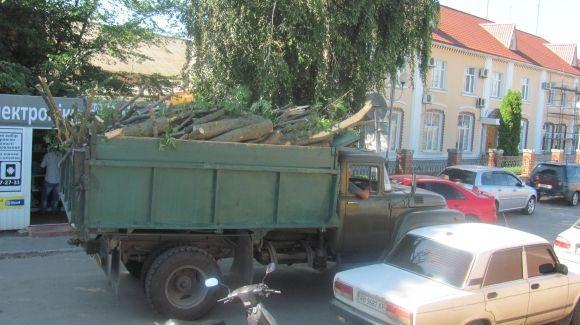 На басейн в Козятині везуть ось такі дрова на сайті 20minut.ua На басейн в Козятині везуть ось такі дрова, фото №1 на сайті 20minut.ua