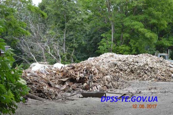 В Острові більше не смердітиме? З обласної казни дадуть гроші на сайті 20minut.ua В Острові більше не смердітиме? З обласної казни дадуть гроші, фото №1 на сайті 20minut.ua