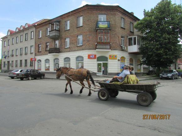 Десь зрізають живе, а гниле прибрати нікому, фото №21 на сайті 20minut.ua