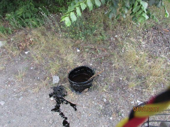 Десь зрізають живе, а гниле прибрати нікому, фото №11 на сайті 20minut.ua