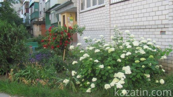 Десь зрізають живе, а гниле прибрати нікому, фото №25 на сайті 20minut.ua