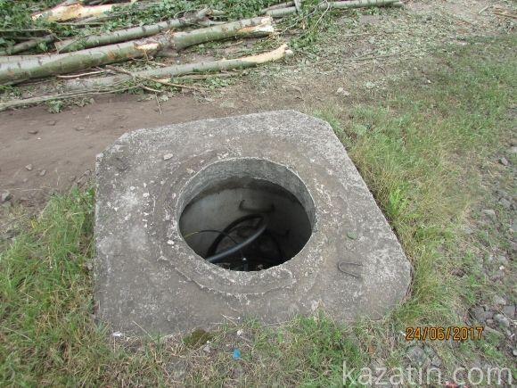 Десь зрізають живе, а гниле прибрати нікому, фото №16 на сайті 20minut.ua