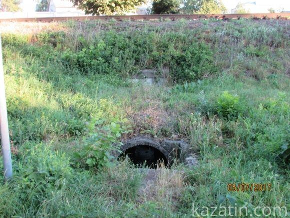 Десь зрізають живе, а гниле прибрати нікому, фото №8 на сайті 20minut.ua