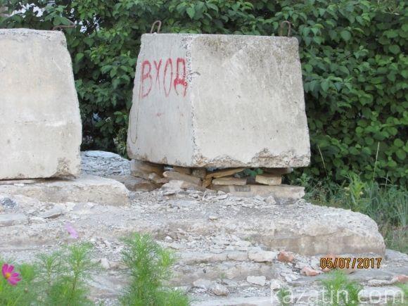 Десь зрізають живе, а гниле прибрати нікому, фото №14 на сайті 20minut.ua